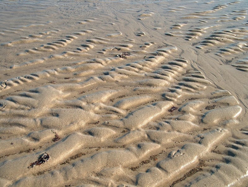 Aesthetic Culinary Design